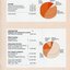 Pie charts showing income and expenditure per source.