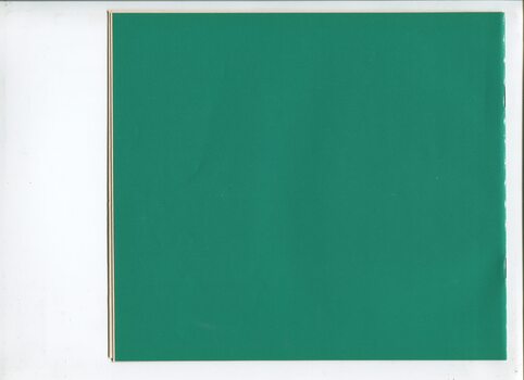 Green back cover with no writing