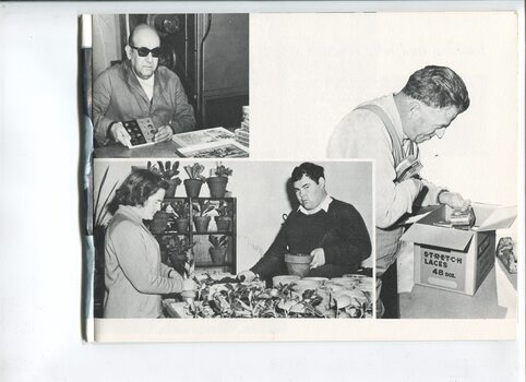 Pictures of workers packing and potting plants