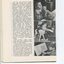 Report on nursery and school with pictures of children touching a teddy bear, feeding a lamb and reading a large print book
