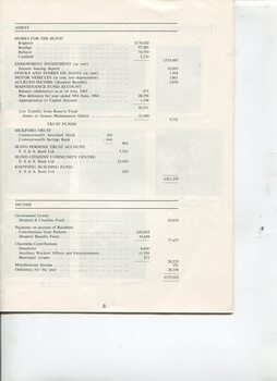 Association for the Blind assets and income