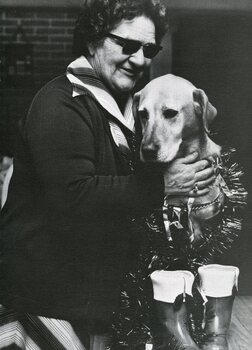 A blind woman pats a guide dog dressed in tinsel