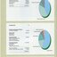Pie chart showing income and expenditure, with table summary.
