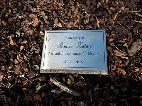 Inscribed metal plaque embedded in garden 