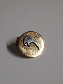 Raised silver kiwi bird on gold background