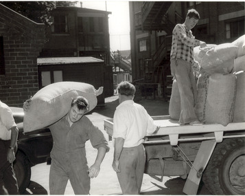 Three men unloading hessian sacks from a flat bed truck