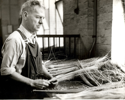Worker gathering millet heads for broom