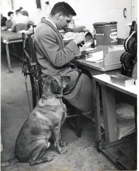 Man in dustcoat, sits at a table working whilst a dog, whose harness rests on the man's chair, stands beside him