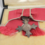 Medal with four points hangs from ribbon inside black box