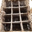 Cane basket with handle and dividers to carry milk bottles