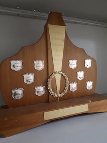 A brown wooden award with a gold coloured plate above a wreath and 10 mini shields