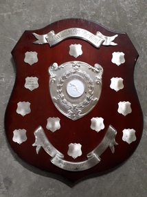 Wooden shield with 12 mini shields, banner and image of runner in centre