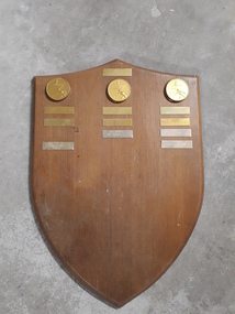 Wooden shield with 3 gold medallions of people playing table tennis and metal plates underneath