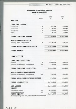 Statement of financial position as of 30 June 2003 with assets and liabilities