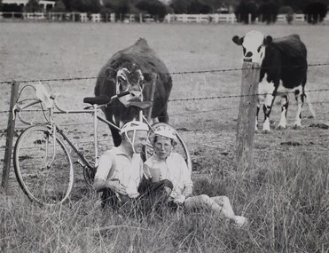 Two cyclists take rest from their tandem bike, sitting in long grass about to have a drink, with curious cows approaching from the other side of the barbed wire fence.