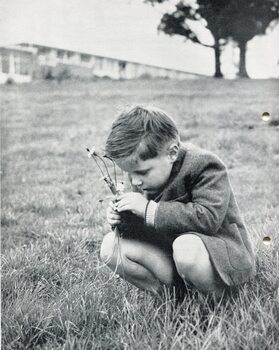 Photograph of small boy kneeling in grass below Burwood building, holding flowers