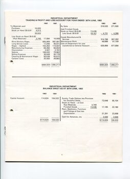 Industrial department profit and loss statement and balance sheet
