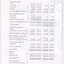 Consolidated Balance sheet as at the end of the financial year