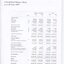Consolidated Balance sheet as at the end of the financial year