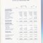 Consolidated Statement of Cash Flow as at the end of the financial year