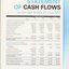 Consolidated Statement of Cash Flow as at the end of the financial year