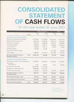 Consolidated Statement of Cash Flow as at the end of the financial year