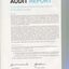 Auditors Report to the Contributors