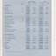 Statement of Financial Position in table format
