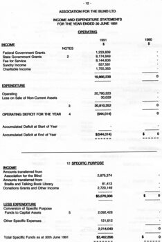 Financial statement including income and expenditure for the year