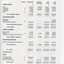 Balance sheet as at the end of the financial year