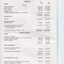 Financial statement including income and expenditure for the year