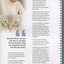 Description of partnerships with clients continued.  Image of Dorothy Riddel and her cat painting.