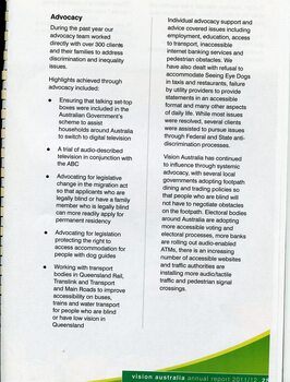 Overview of Advocacy services and achievements throughout the year