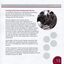 Overview and achievements of Training and Placement Employment Service and picture of man using a machine whilst another watches