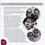 Overview and achievements of Marking & Fundraising and pictures of Peter Beattie, woman, man and two children