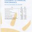 Statement of Financial Performance for the end of the financial year