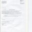 Corporate information including letter of independent audit