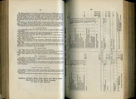 Rules and Regulations of Institute and Balance sheet for Building Fund and Maintenance Fund and Brass Band Fund