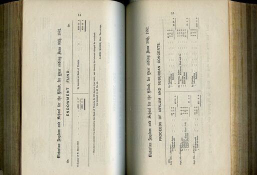 Balance sheet for Endowment Fund and Balance Sheet for Concert Tours