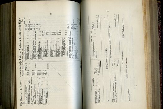 Balance sheet for the Asylum