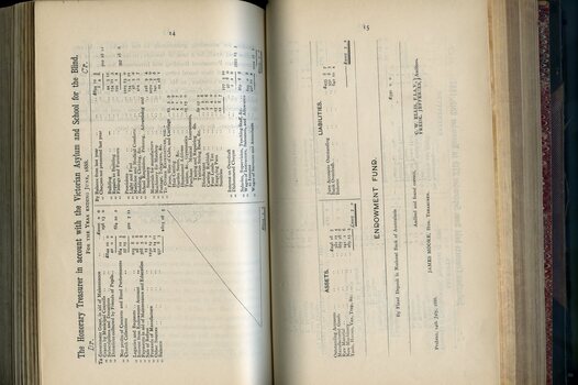 Balance Sheet for the Asylum