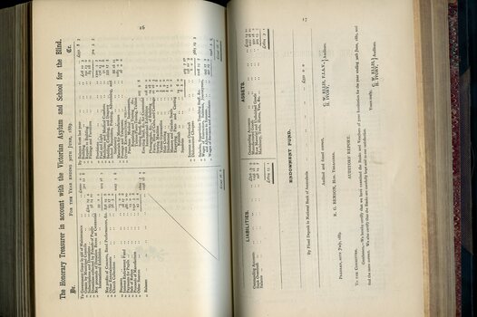 Balance Sheet for the Asylum