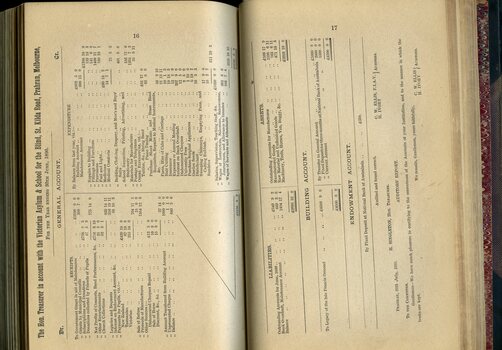 Balance sheet for the Asylum