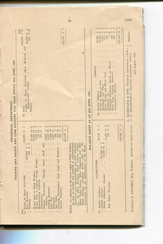 Industrial department profit and loss and balance sheet