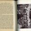 Report of the Musical Director to the Board of Management and photograph of girls sitting outside knitting and sewing