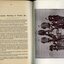 Information Relating to Pupils, etc and photograph of boys standing next to a wall
