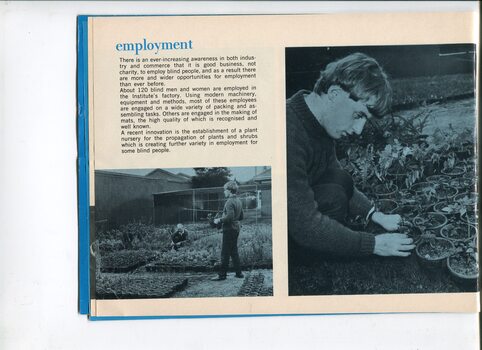 Update on employment and picture of a male moving and working with plants in a nursery