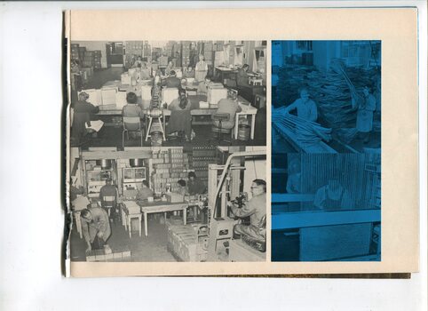 Pictures of workers packaging, making brooms and carpets