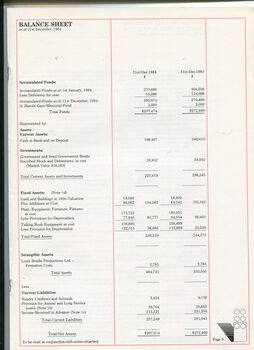 Balance sheet for the financial year