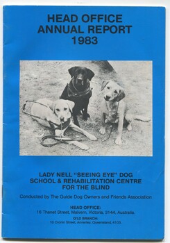 Three Labradors sit on ground and stare at camera